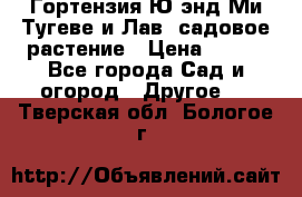 Гортензия Ю энд Ми Тугеве и Лав, садовое растение › Цена ­ 550 - Все города Сад и огород » Другое   . Тверская обл.,Бологое г.